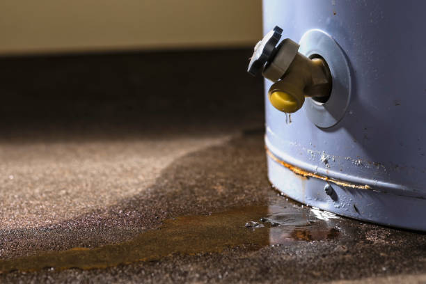 , DE Water damage restoration Company