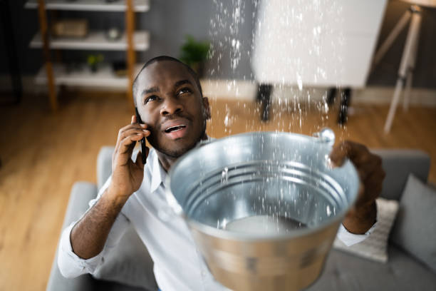 Best Water damage repair service  in Middletown, DE