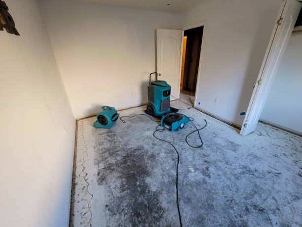 Best Water damage restoration near me  in Middletown, DE