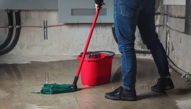 Best Flooded house restoration  in Middletown, DE