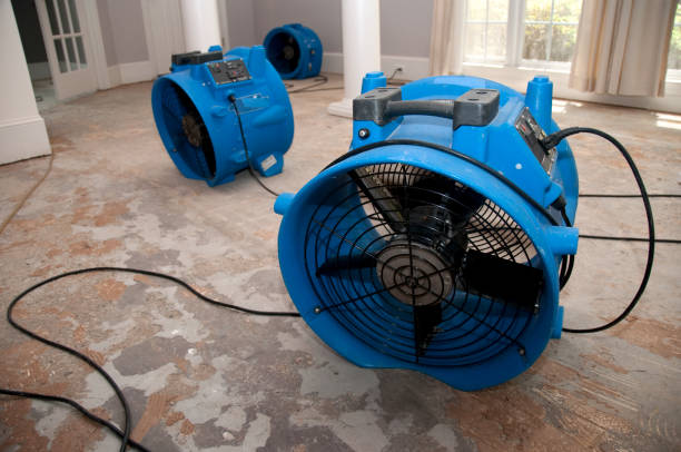 24/7 water damage repair in DE