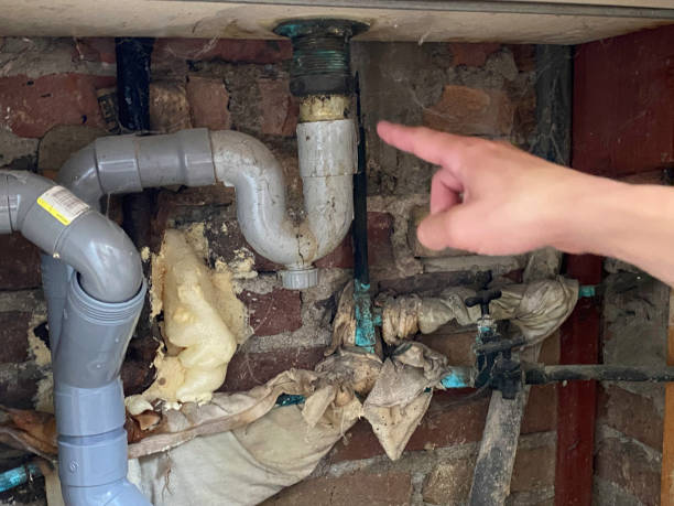Best Water damage restoration process  in Middletown, DE