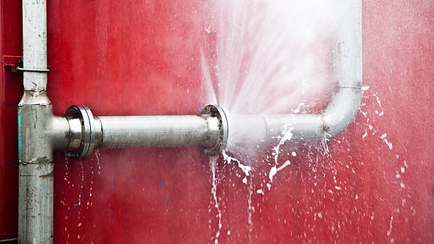 Water damage restoration process in DE
